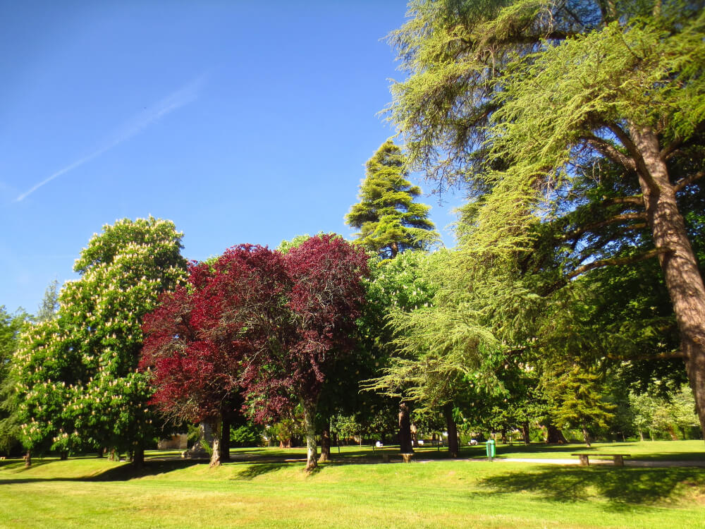 Les parcs et jardins à voir en Périgord